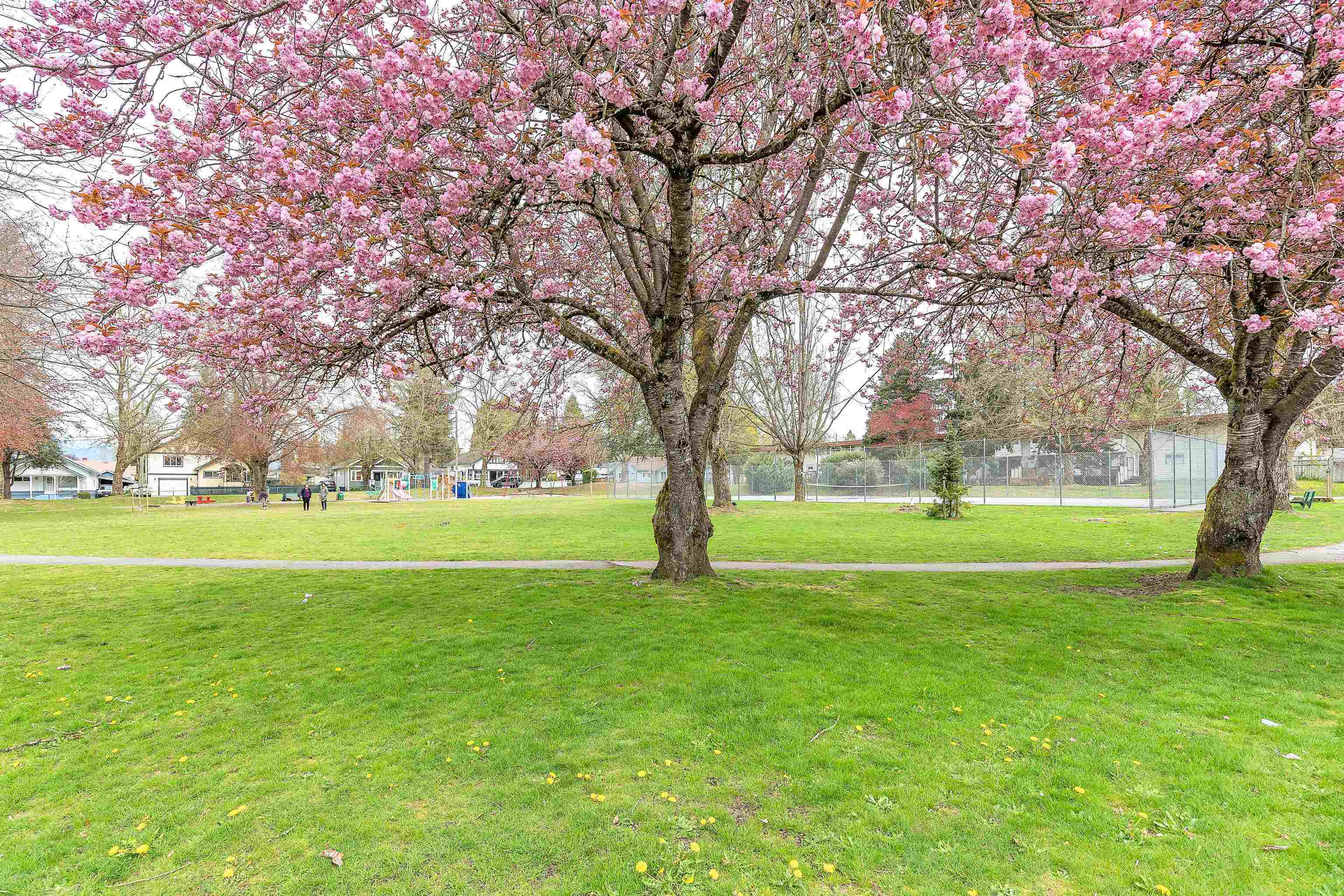 101-20561 113 Avenue 22