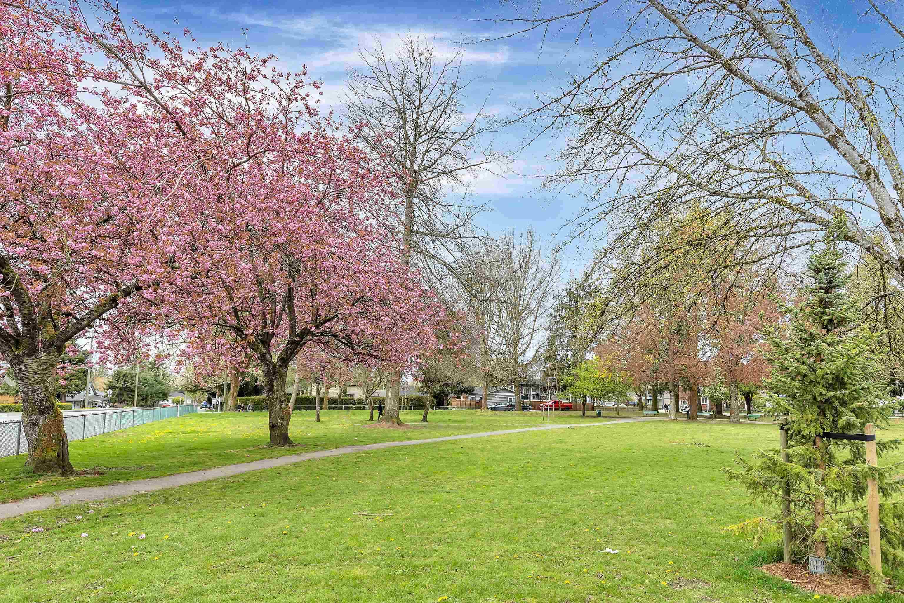 101-20561 113 Avenue 21