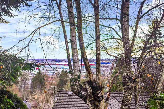10501 125B STREET, BC V3V 5A8 19