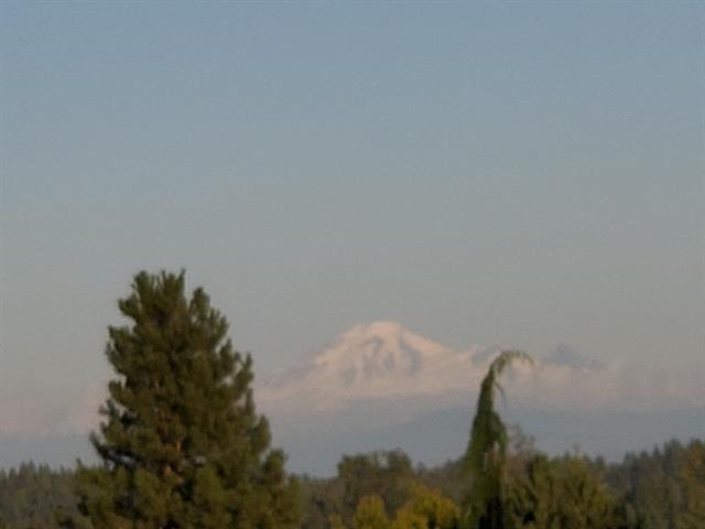 11480 209 STREET, BC V2X 3M5 36