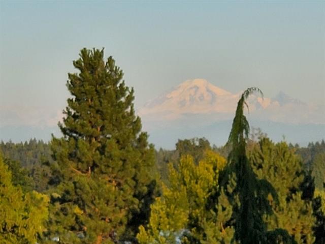 11480 209 STREET, BC V2X 3M5 37