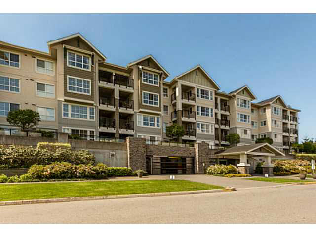 217 19673 MEADOW GARDENS WAY, BC V3Y 0A1