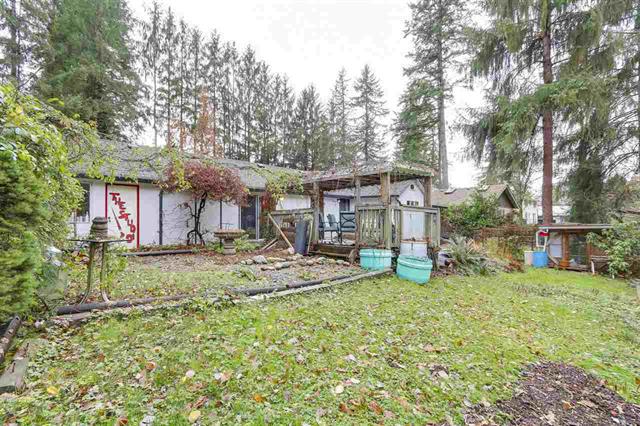 23287 DOGWOOD AVENUE, BC V2X 4S4 11