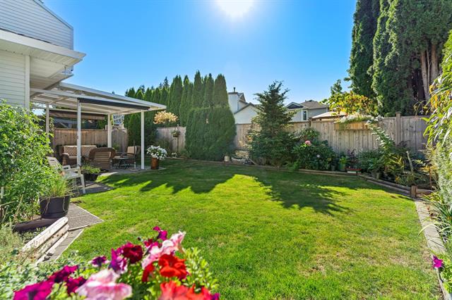 3 11534 207 STREET, BC V2X 1X1 25